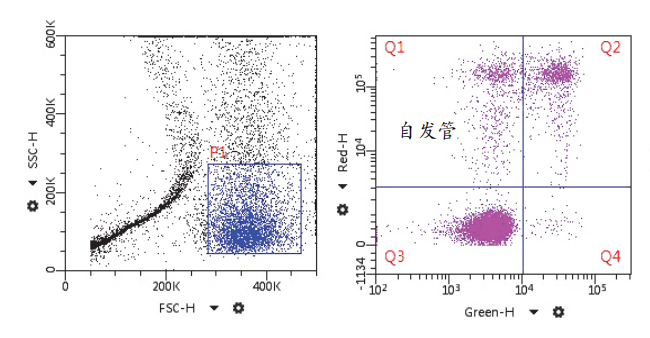 开云体云app官网入口