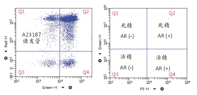 开云体云app官网入口