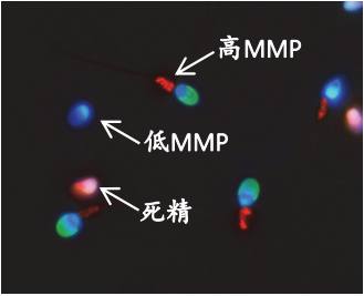 开云体云app官网入口