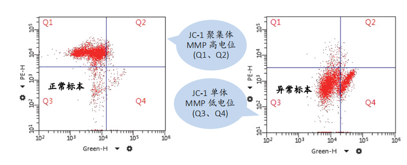 开云体云app官网入口