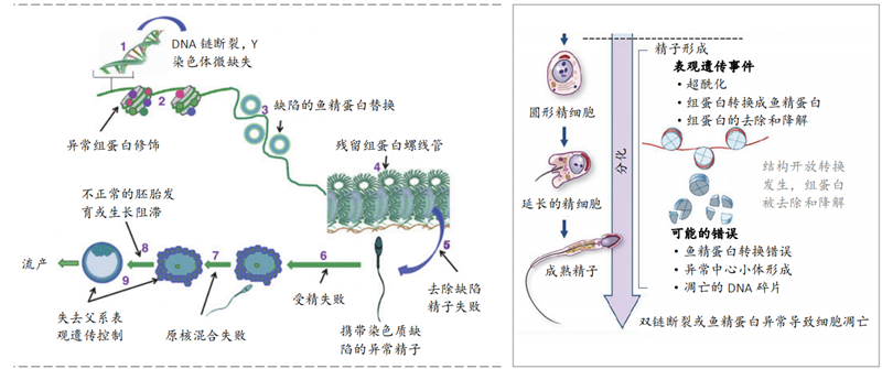 开云体云app官网入口