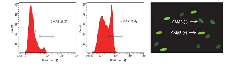 开云体云app官网入口