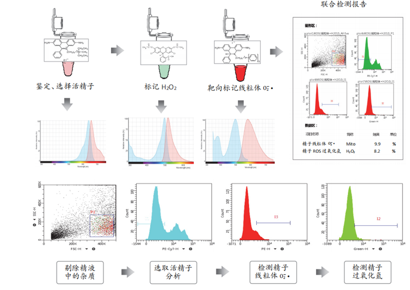 开云体云app官网入口