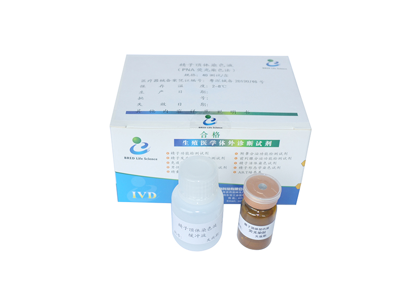 开云体云app官网入口