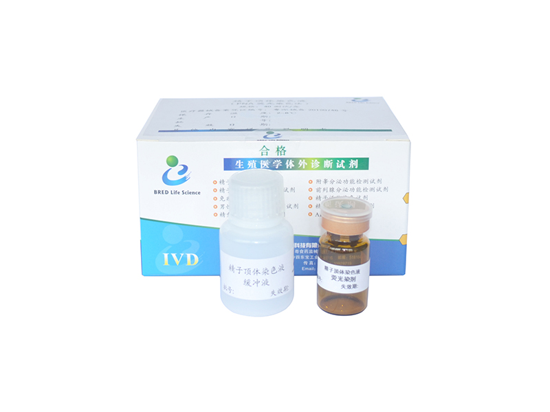 开云体云app官网入口