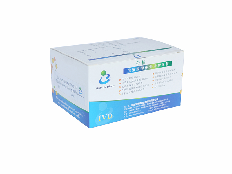 开云体云app官网入口