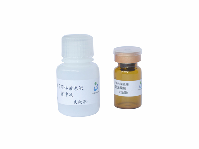 开云体云app官网入口