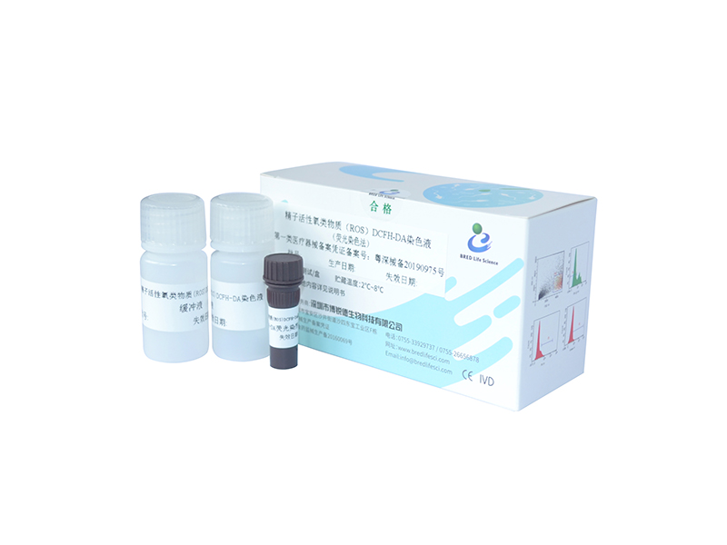 开云体云app官网入口