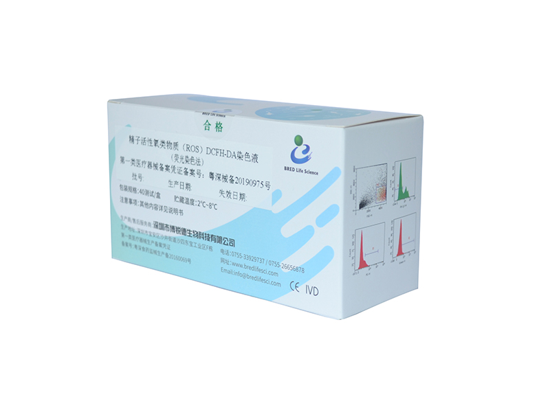 开云体云app官网入口