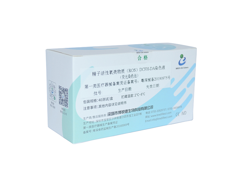 开云体云app官网入口