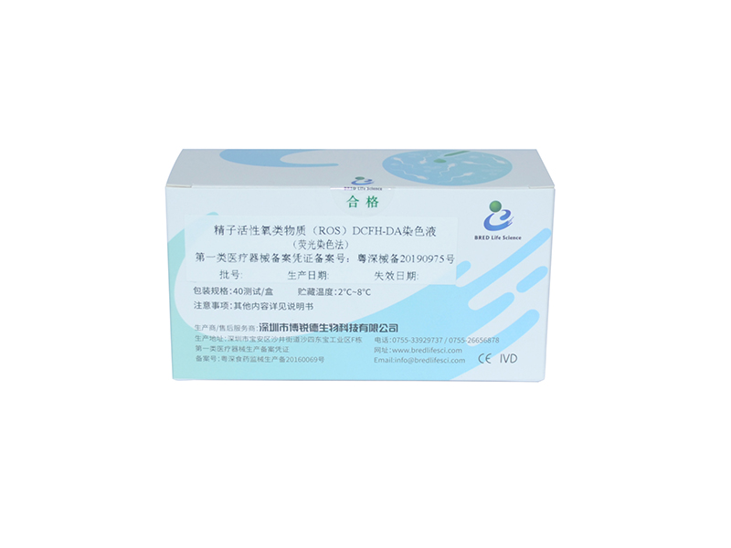 开云体云app官网入口