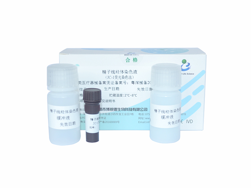 开云体云app官网入口