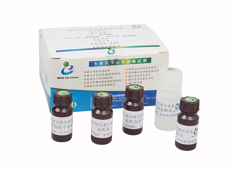 开云体云app官网入口