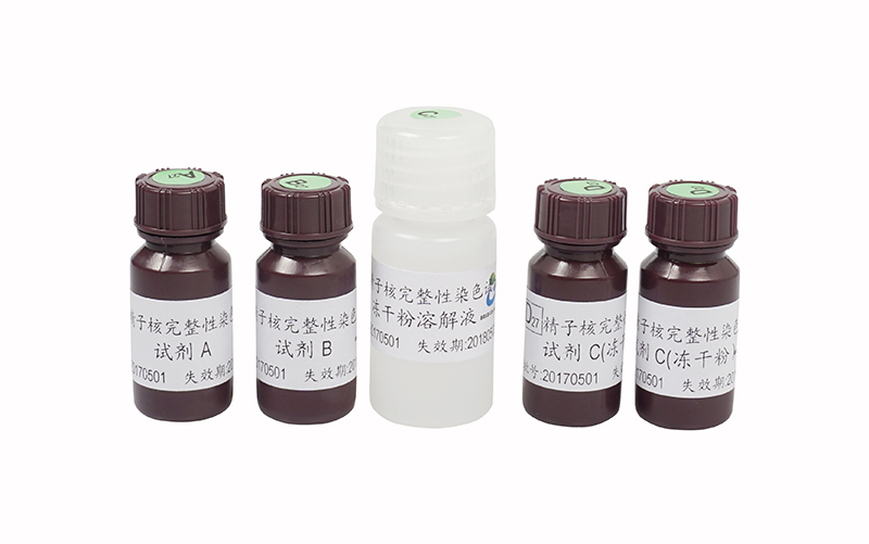 开云体云app官网入口