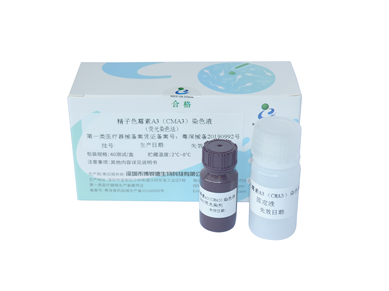 开云体云app官网入口