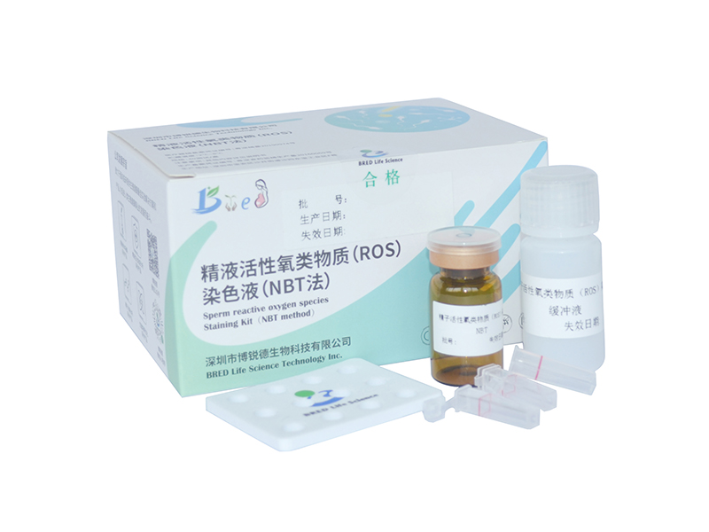 开云体云app官网入口