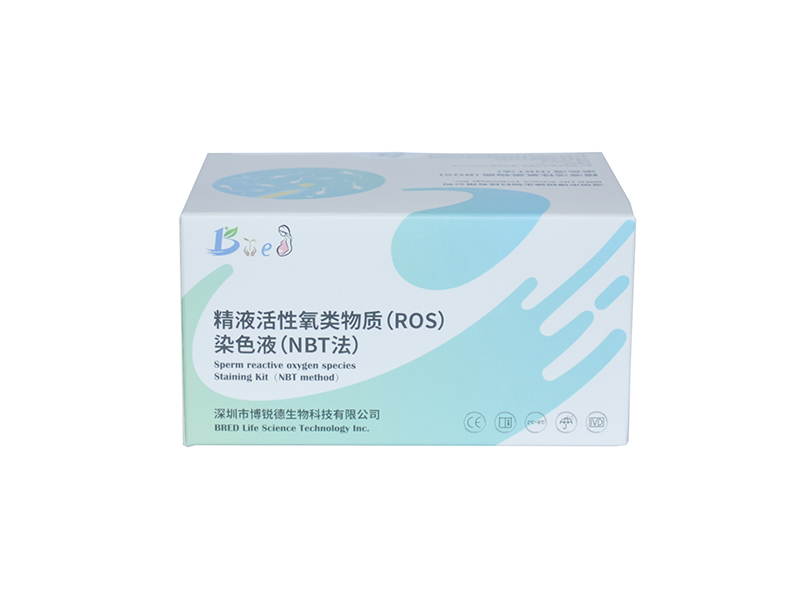 开云体云app官网入口