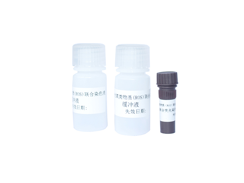 开云体云app官网入口