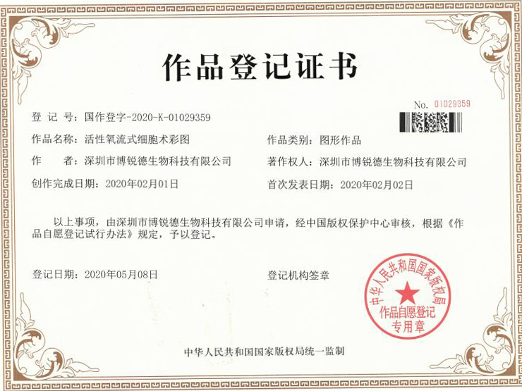 开云体云app官网入口