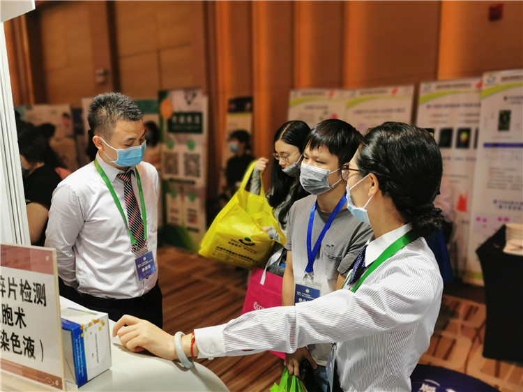 开云体云app官网入口