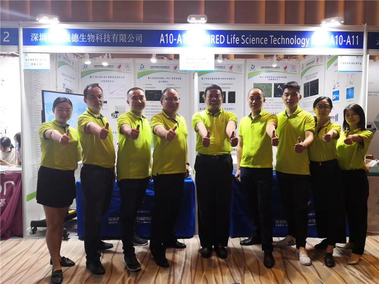 开云体云app官网入口