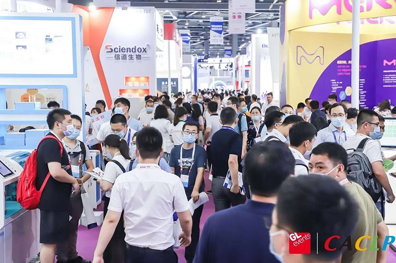 开云体云app官网入口