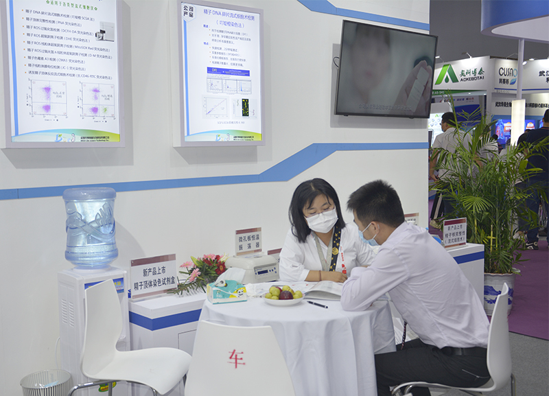 开云体云app官网入口