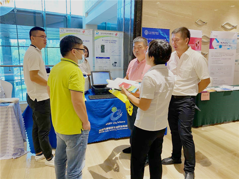 开云体云app官网入口