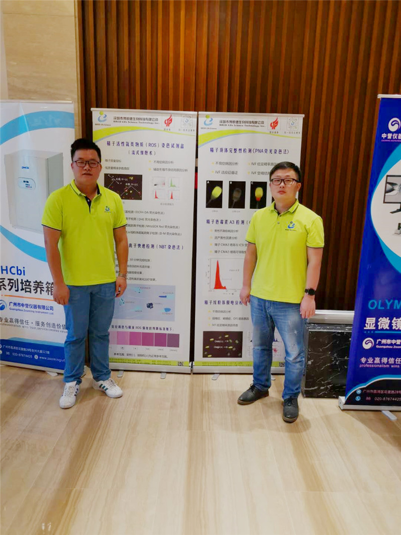 开云体云app官网入口