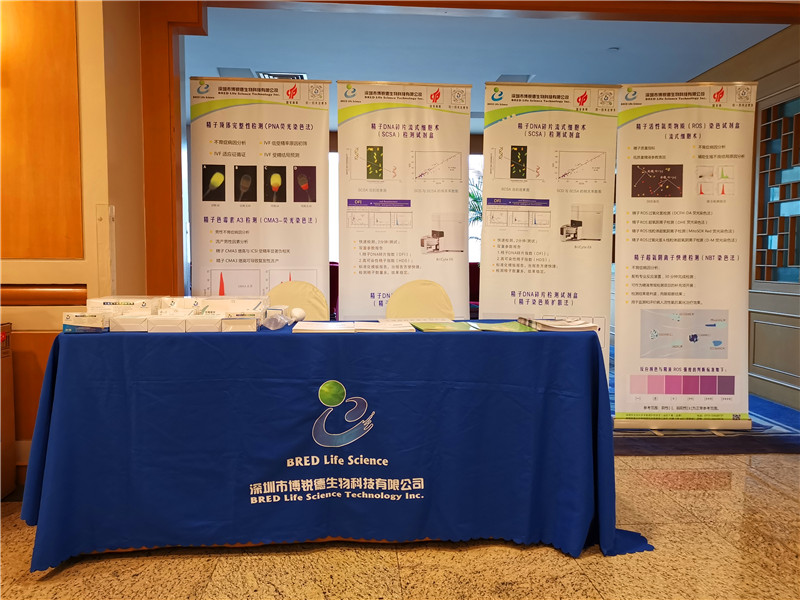 开云体云app官网入口