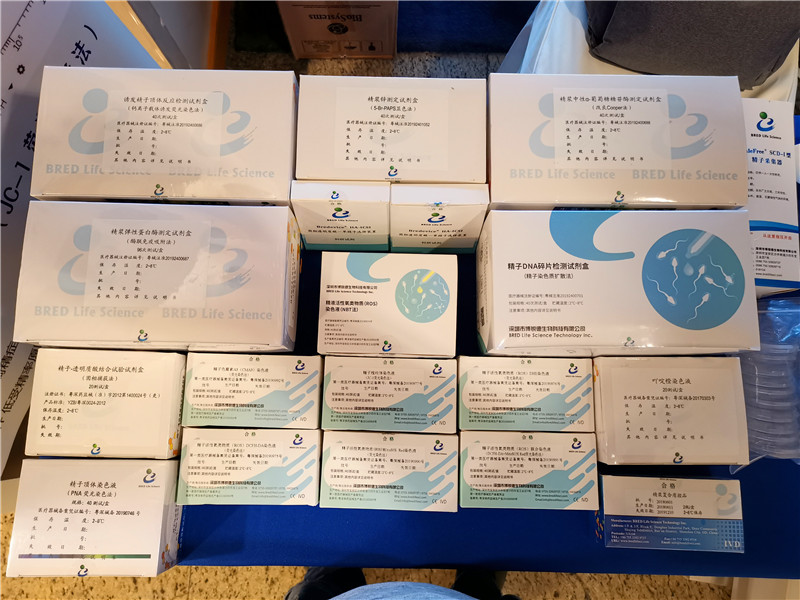 开云体云app官网入口