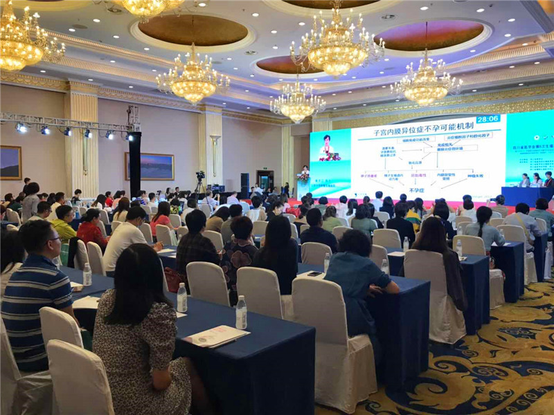 开云体云app官网入口