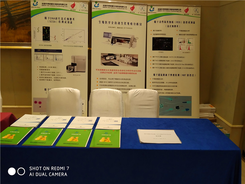 开云体云app官网入口