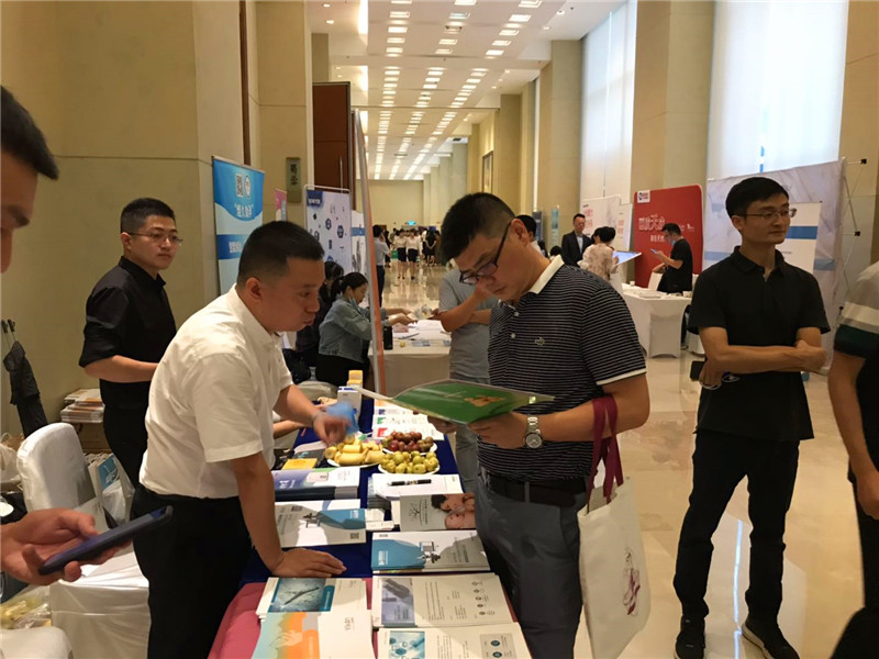 开云体云app官网入口