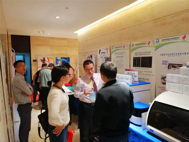 开云体云app官网入口