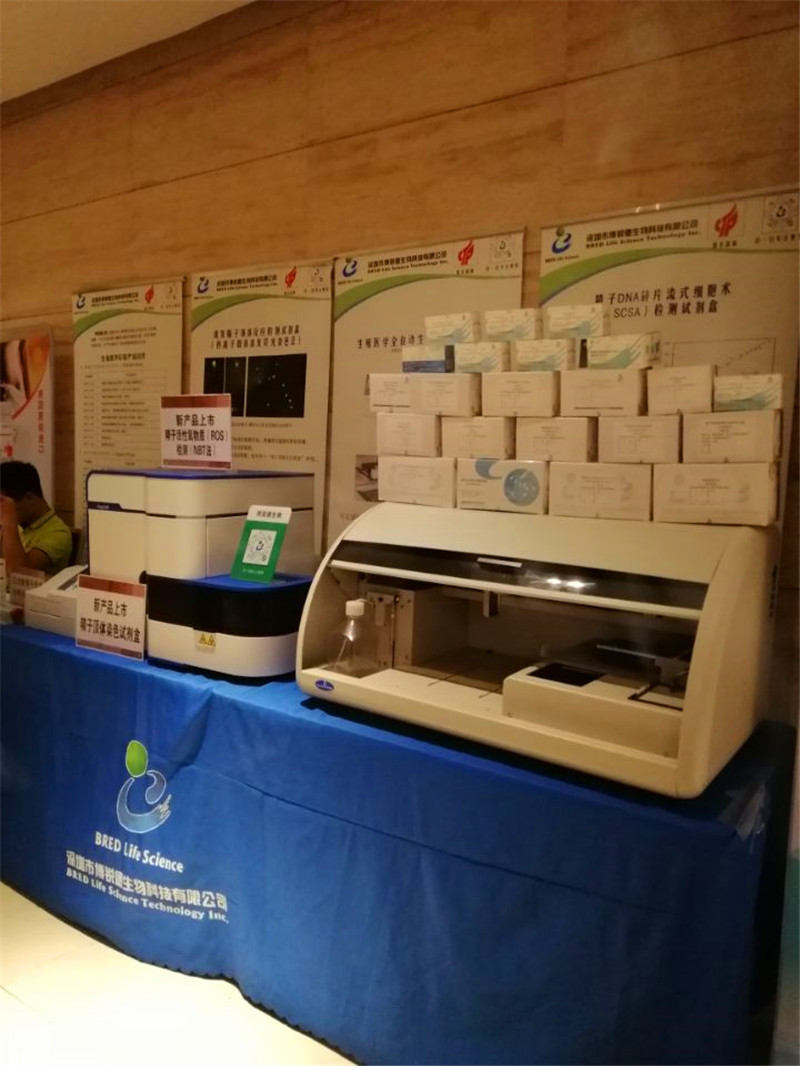 开云体云app官网入口