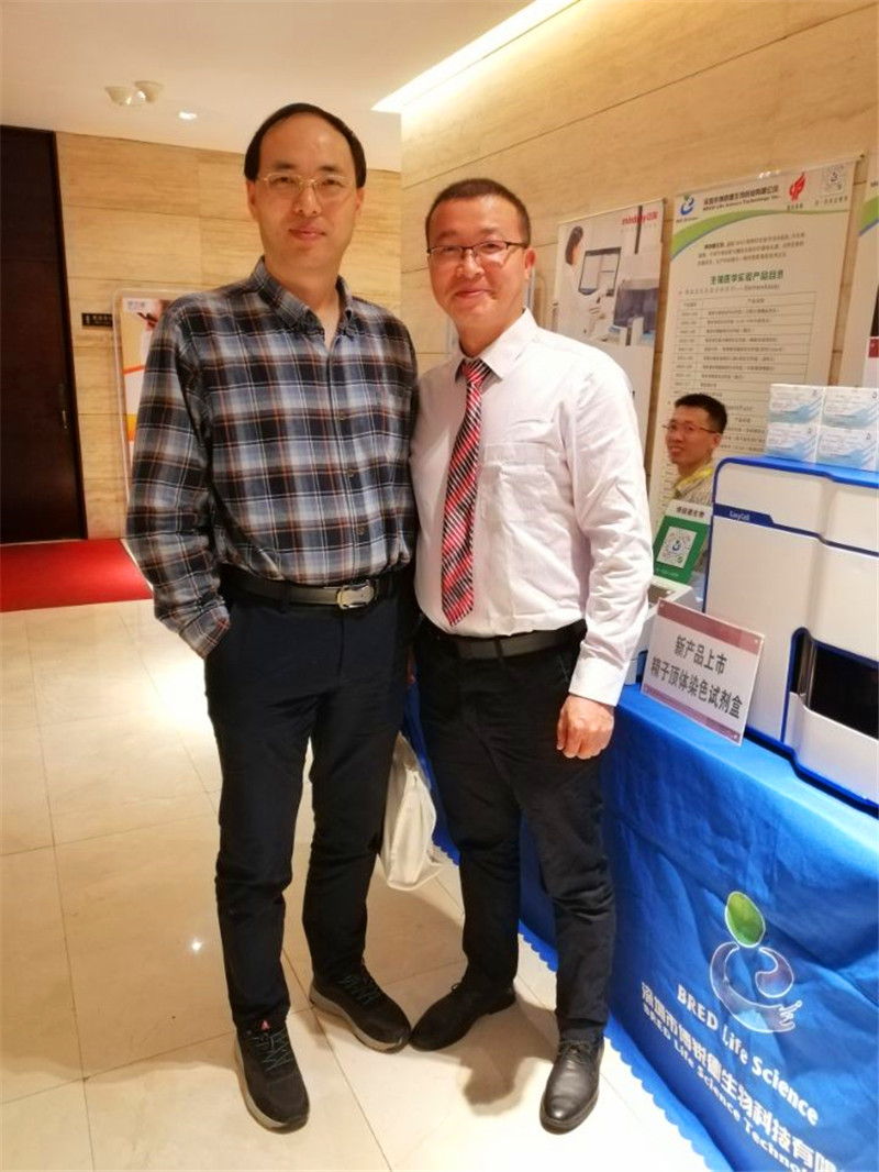 开云体云app官网入口