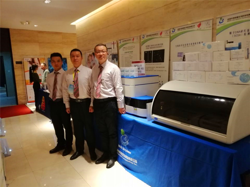 开云体云app官网入口