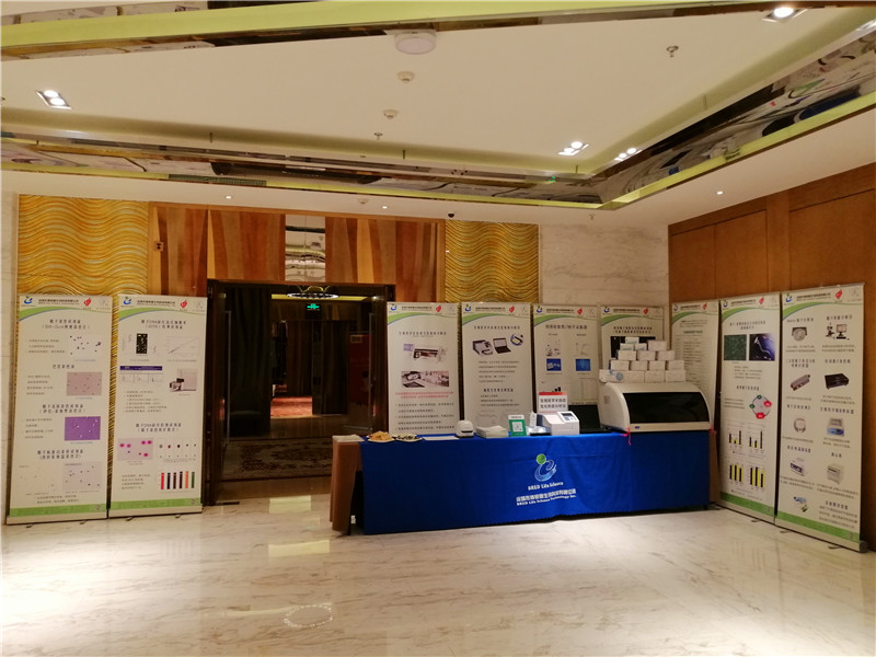 开云体云app官网入口