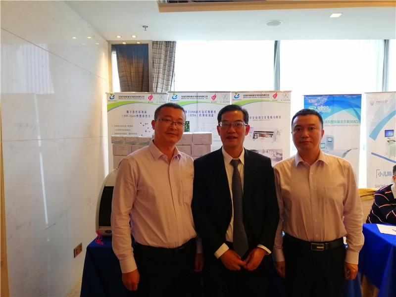 开云体云app官网入口