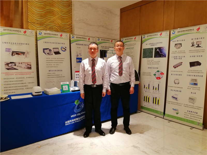 开云体云app官网入口