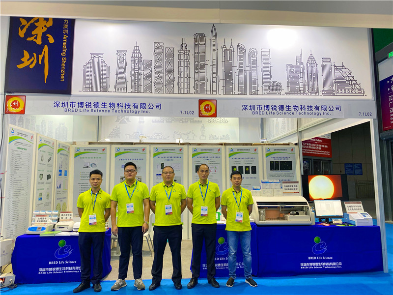 开云体云app官网入口