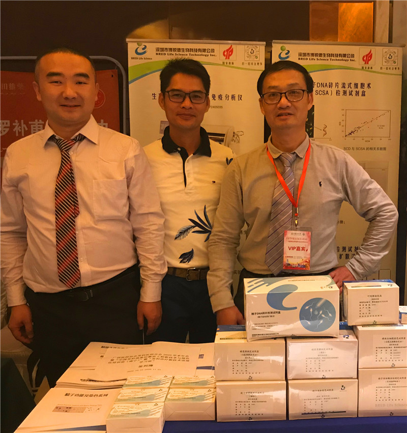 开云体云app官网入口