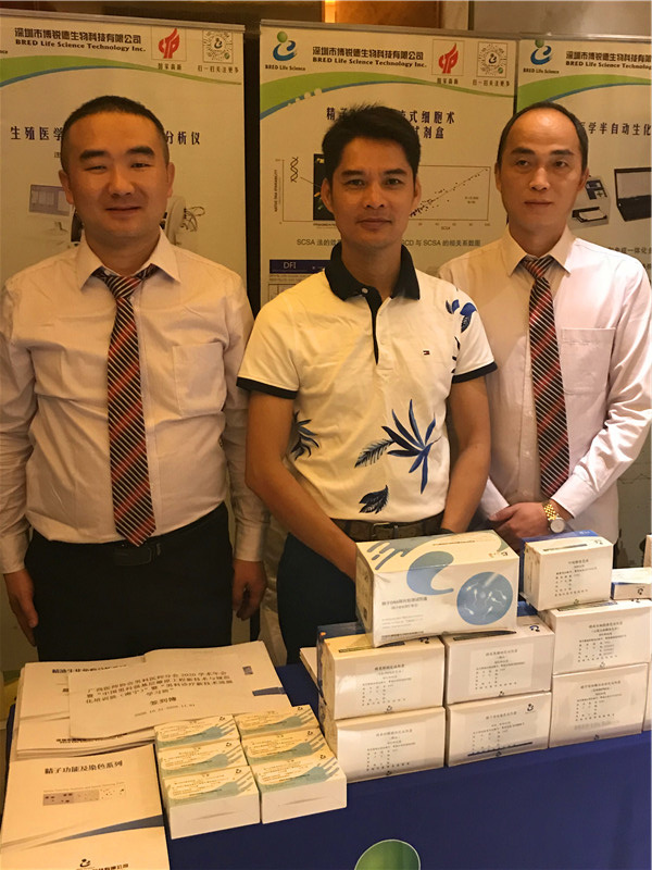 开云体云app官网入口