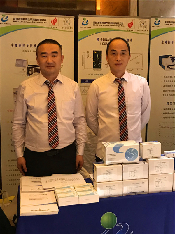 开云体云app官网入口