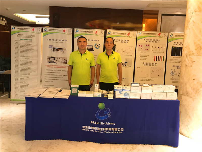 开云体云app官网入口