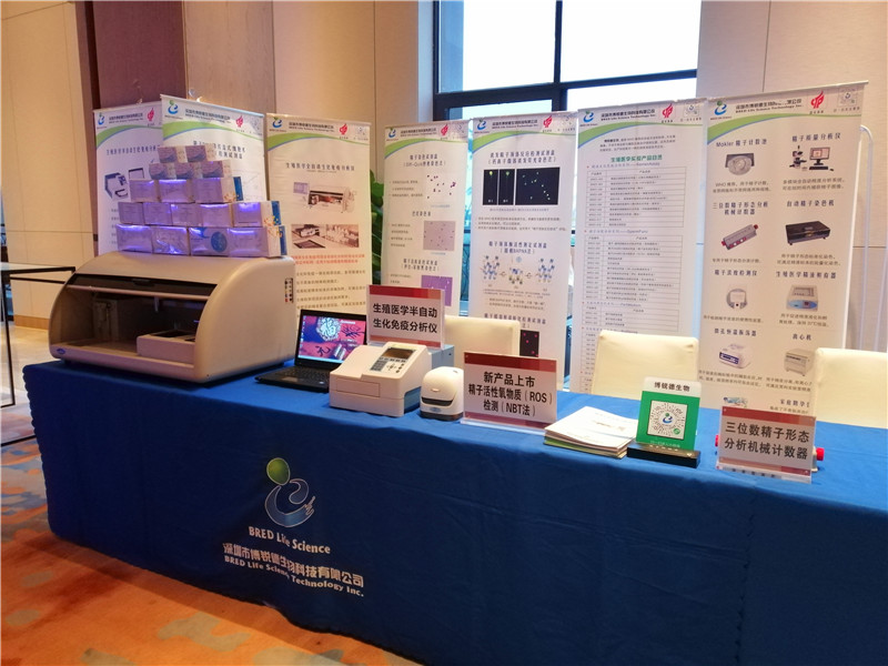 开云体云app官网入口