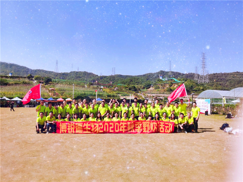 开云体云app官网入口