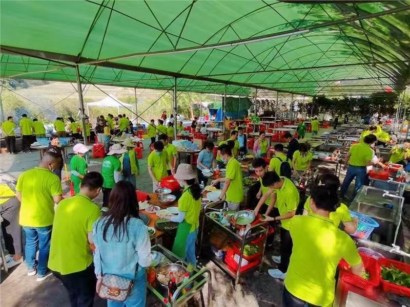 开云体云app官网入口