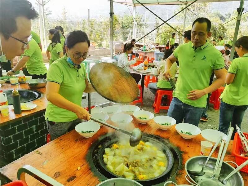 开云体云app官网入口